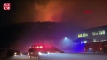 Güney Kore'de orman yangını