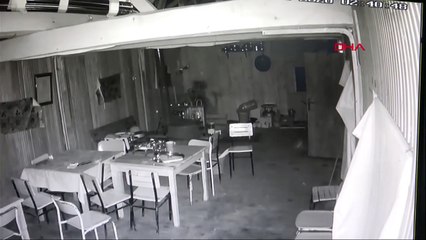 Alabalık tesisine giren ayı, kameraya yakalandı