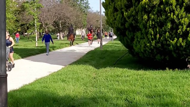 Policías a caballo informan de las normas en la primera salida de adultos