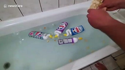 Practical joker feeds 'ducks' during the coronavirus lockdown in Bosnia