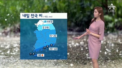 [날씨]내일 전국 대부분 지역 비…건조특보 해제