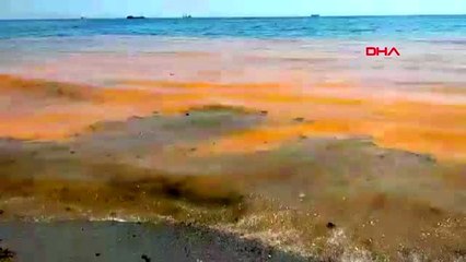 Tekirdağ sahilleri yeniden turuncu renge büründü