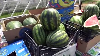 Karpuzun kilosu 6 lira olunca...