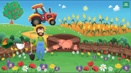 2 ways to compare stone lotus planting without soil