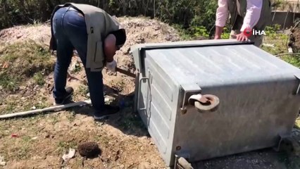Anne kirpi ve yavruları çöpte ölüme terk edildi