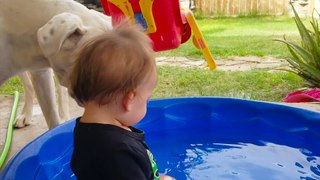 Funny Babies Playing With Dogs