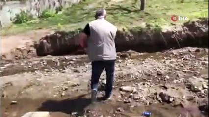 Anne kirpi ve yavruları çöpte ölüme terk edildi