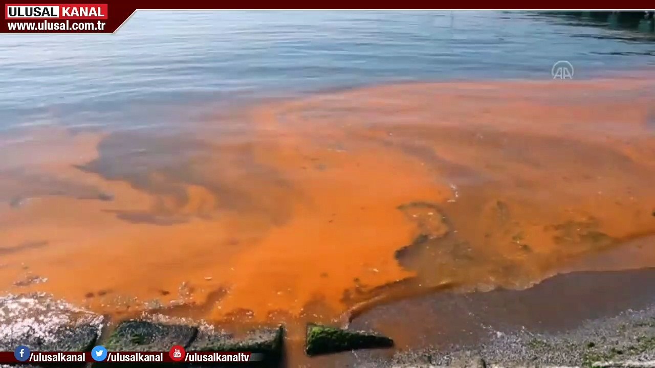 Marmara Denizi turuncuya büründü