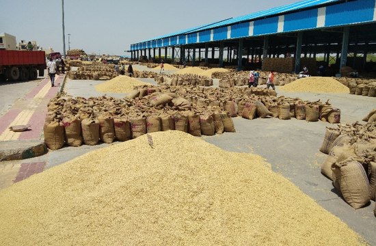 Bundi mandi