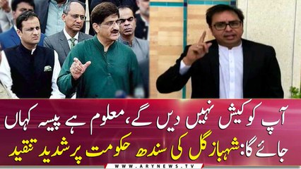 Shahbaz Gill strongly criticizes Sindh Govt