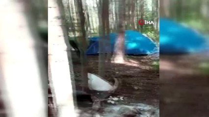 Yasak dinlemeyip çadır kuran kampçılara 14 bin lira ceza kesildi