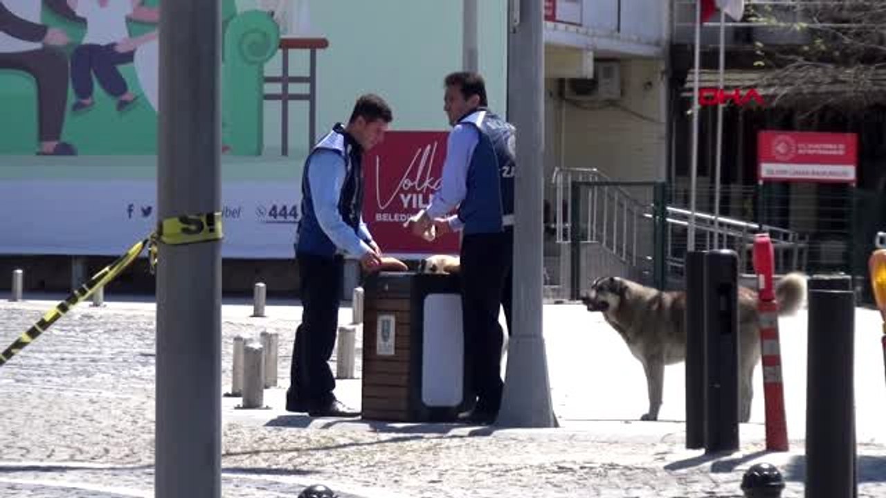 Sahipsiz hayvanları zabıtalar besledi
