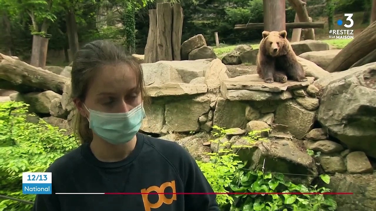 Hautes-Pyrénées : la vie confinée des animaux du zoo d’Argelès-Gazost
