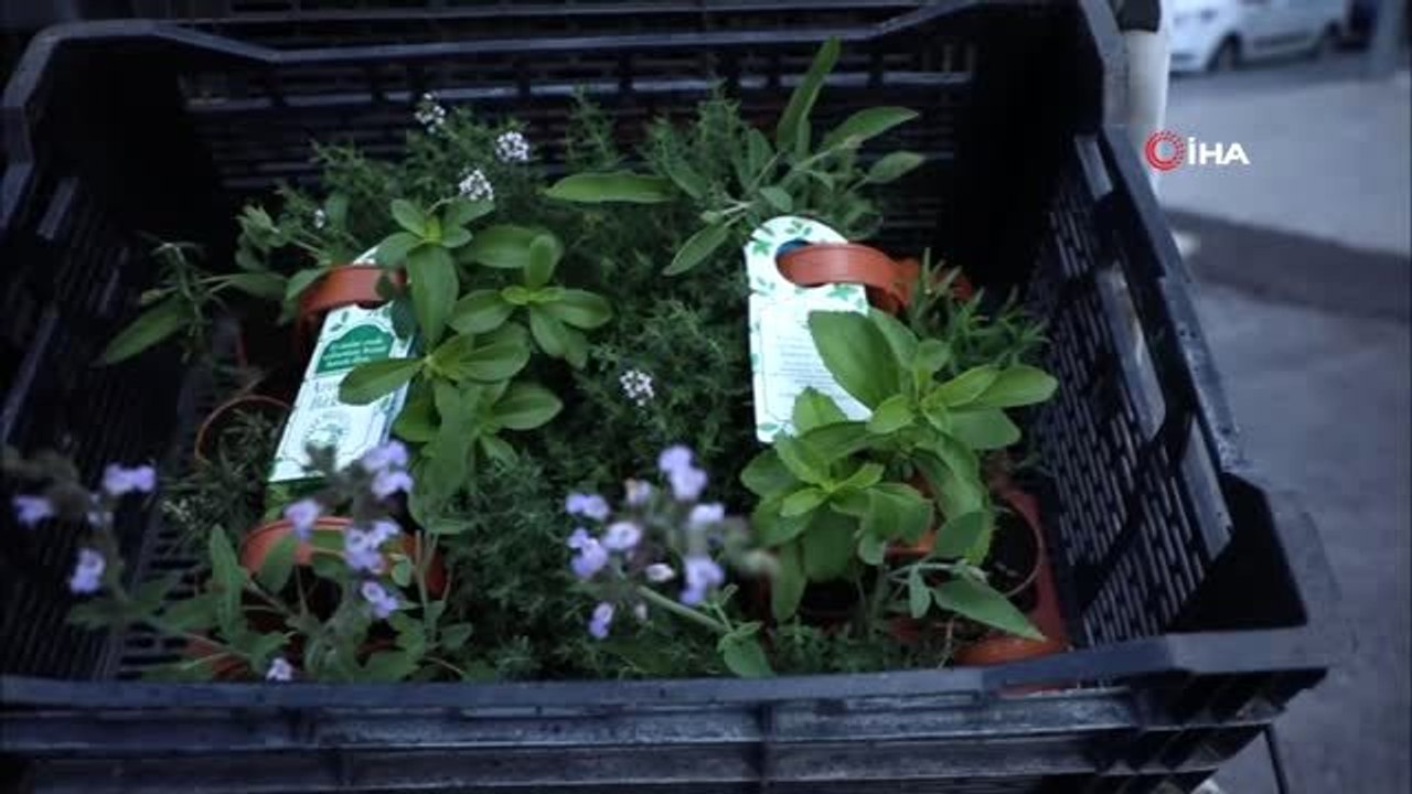 Talas Belediyesi'nden 65 üstü vatandaşlara aromatik bitkiler sepeti
