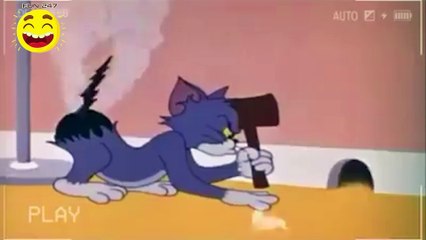 friend or foe ( tom and jerry )