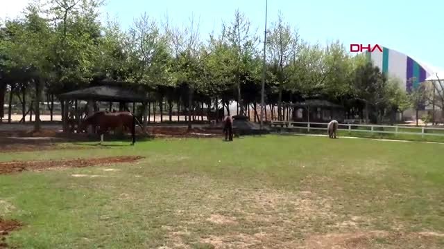 KOCAELİ Salgın nedeniyle atlı spor kulübü, zor günler geçiriyor