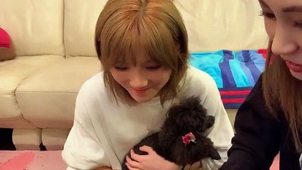 200502 Showroom - Okada Nana 1 of 2