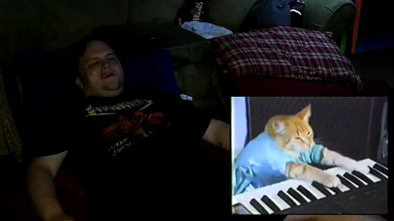 Thorgorath Reacts - "Keyboard Cat" (Charlie Schmidt)
