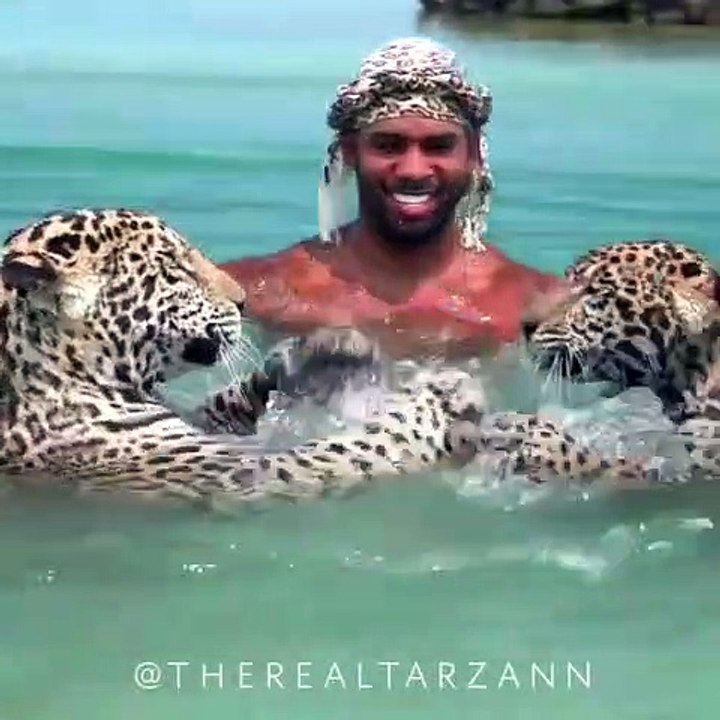 Petit bain avec ses 2 panthères... Incroyable