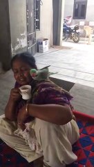 Mithu,Parrot Having  Tea☕