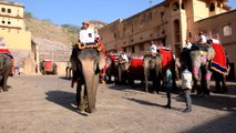 Eléphants au Fort d’Amber. Tourisme à Jaipur