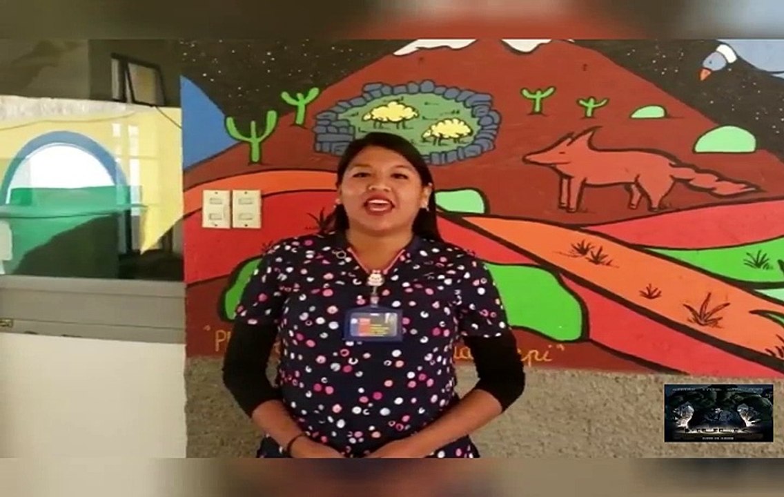 La enfermera del Cesfam de Putre Jocelyn Vargas destaca que hoy más que nun...