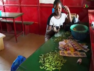 RTB / Dossier - Clubs PMUB - Le covid 19 change le jeu