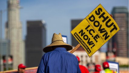 COVID-19 Pandemic Pushes Down ICE Arrests