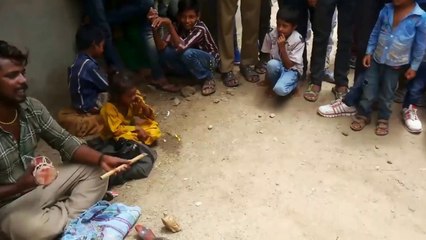 कबूतर का काला जादू  Black Magic Show in India road black magic