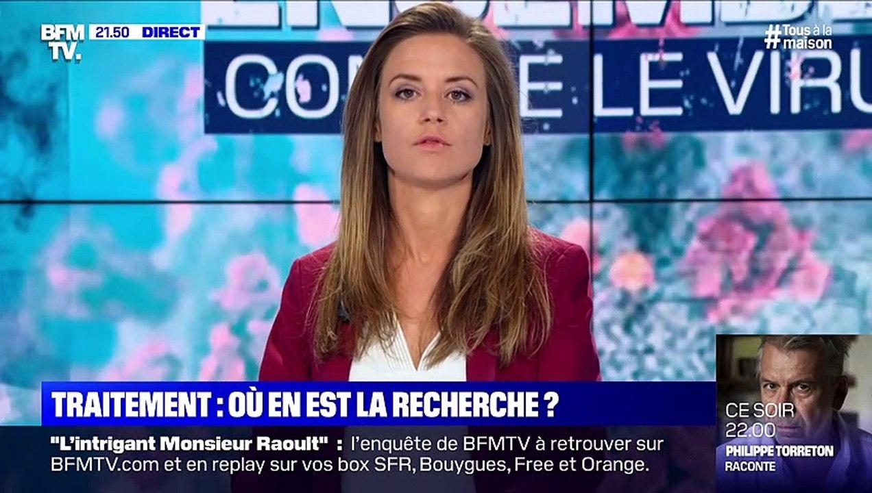 Chats, chiens : peuvent-ils être contagieux ? 02/05