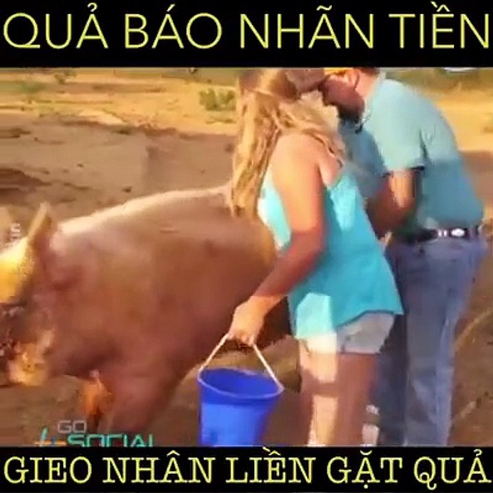 Quả báo nhãn tiền | HÀI