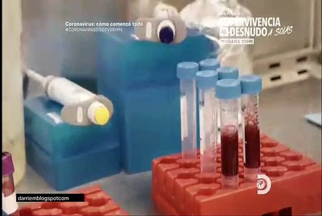 CORNAVIRUS COMO COMENZO TODO