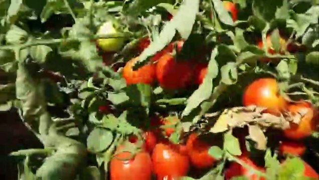 quran /quran tilawat /quran recitation /best quran tilawat nature quran tilawat banglanew / tilawat e quran with amazing nature video 2020quran recitation /really beautiful quran with /tilawat quran best voice /tilawat quran / beautiful voice beautiful