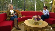 COVID-19; Sådan mærker din hund coronakrisen | Go morgen Danmark | TV2 Danmark