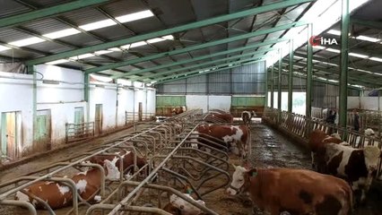 Besi ve süt üreticisi korona virüse rağmen talepleri karşılamakta zorlanıyor