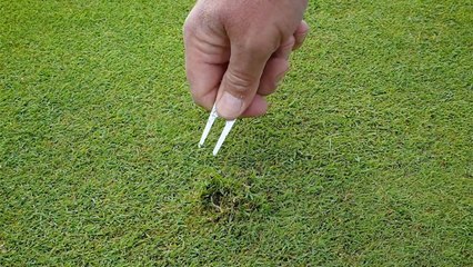 Entretien de Golf (n°7) : les pitchs