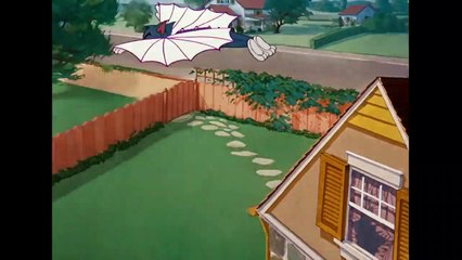 Tom and Jerry Tom the Cat or Tom the Bird