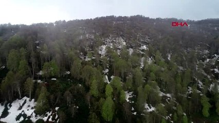KOCAELİ Kartepe'de baharın güzellikleri ortaya çıktı