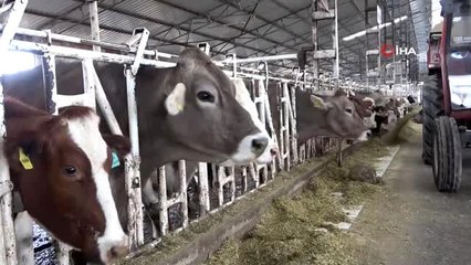 Uşak'ta tarımsal üretim 'steril' şekilde sürüyor