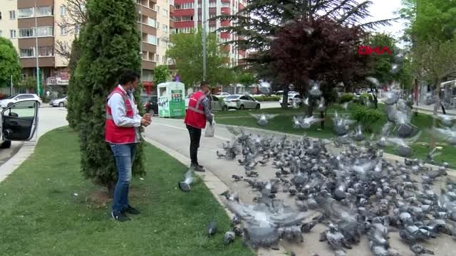 ESKİŞEHİR Polis memuru, sokağa çıkma yasağında güvercinleri besliyor