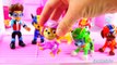 Barbie Airplane Fly with Paw Patrol Skye Saves the Day Rescue Pups Learning Colors for Children