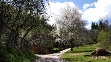 Bosna Hersek'te ilkbahar