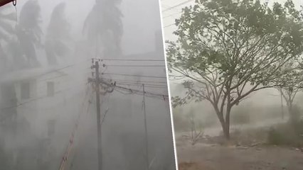 கோவையில் இடியுடன் கனமழை