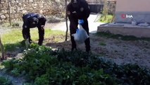 Yaşlı Adamın İsteğini Kırmayan Polis Abdullah Amca İçin Ispanak Topladı