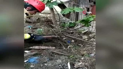 Yeraltındaki boruya sıkışan yavru kedi böyle kurtarıldı