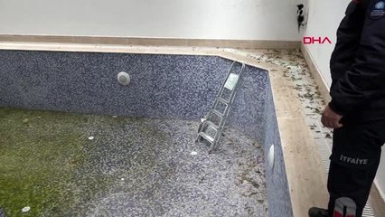 ANTALYA Havuzda mahsur kalan 2 yavru kediyi itfaiye ekipleri kurtardı