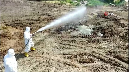 Bursa'da 2 milyon metrekarelik alanda ilaçlama gerçekleştirildi