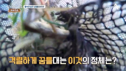 물 속의 보물! 토종 미꾸라지로 ★연 매출 1억 원★