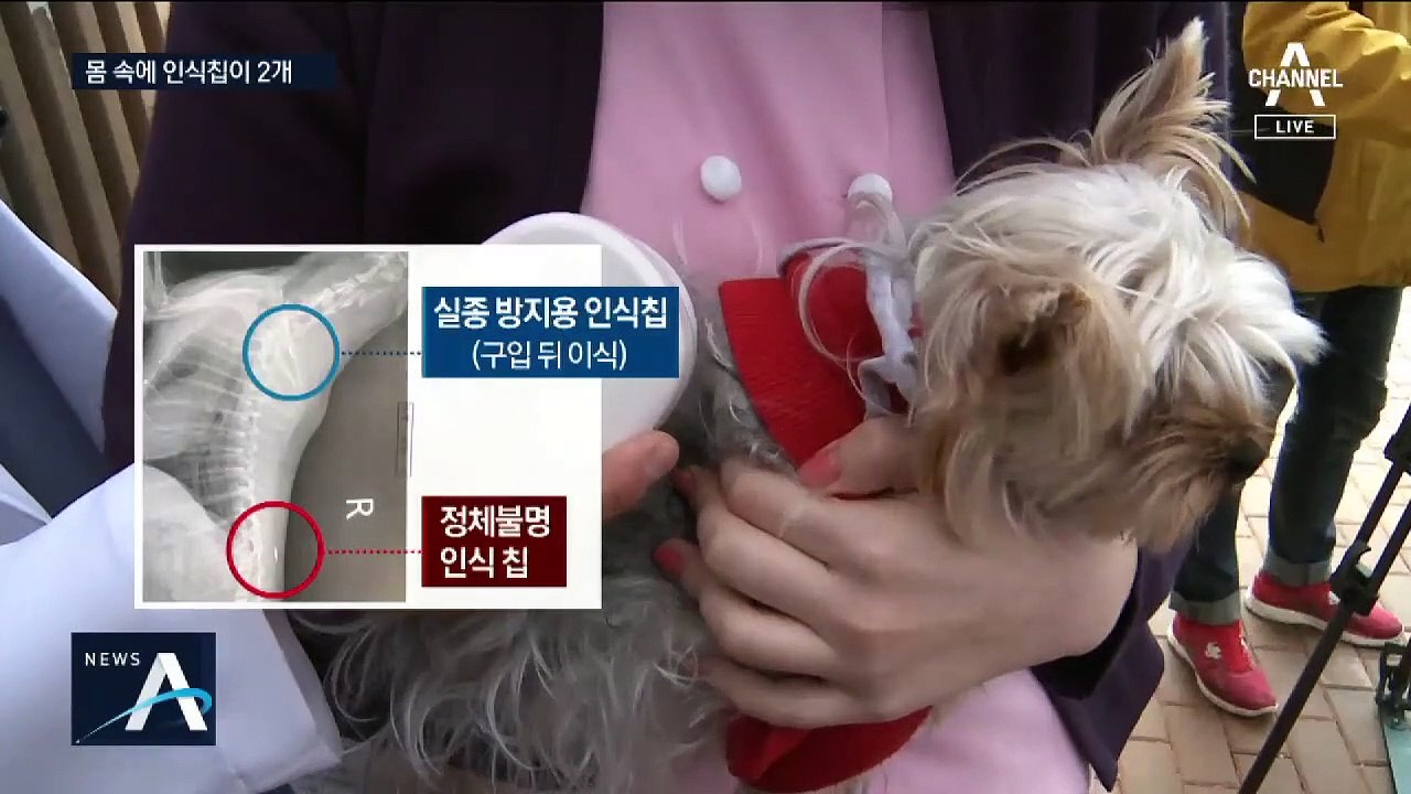 반려견 출생지 속인 애견숍?…칩 놓고 ‘중국 수입’ 논쟁