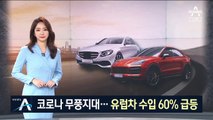 독일산 ‘강남 쏘나타’ 질주…유럽차 수입 60% 급등